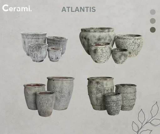 White Atlantis