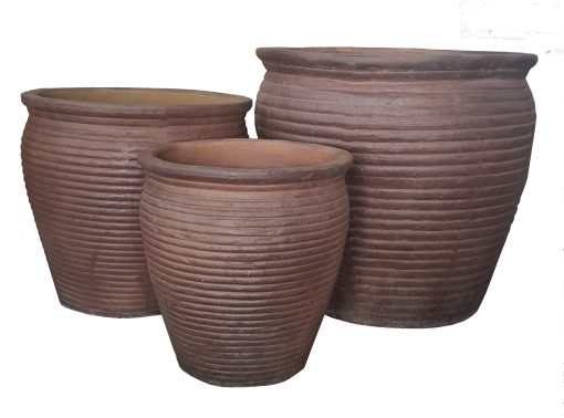 Black Clay - Image 4