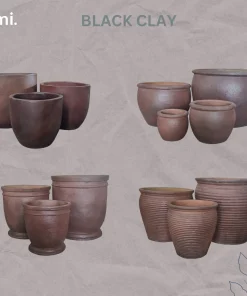 Black Clay