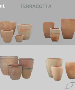 Terracotta