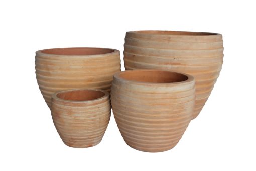Terracotta - Image 3